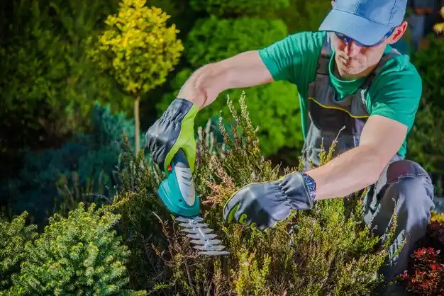 landscaping services Picayune